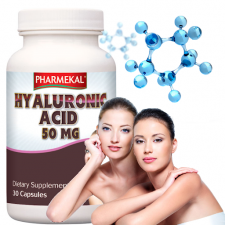 Acid Hyaluronic 100mg - 60 capsule
